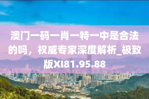 澳门一码一肖一特一中是合法的吗，权威专家深度解析_极致版XI81.95.88