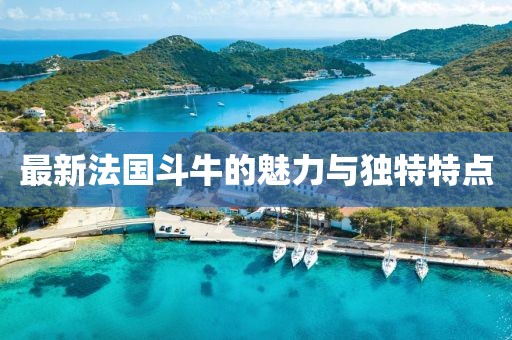 最新法国斗牛的魅力与独特特点