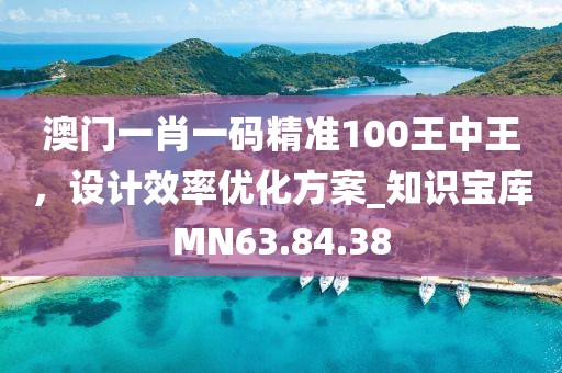 澳门一肖一码精准100王中王，设计效率优化方案_知识宝库MN63.84.38