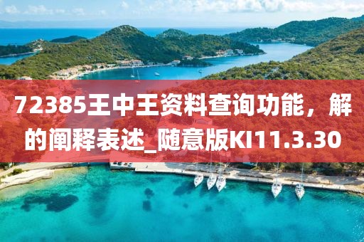 72385王中王资料查询功能，解的阐释表述_随意版KI11.3.30