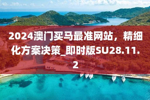 2024澳门买马最准网站，精细化方案决策_即时版SU28.11.2