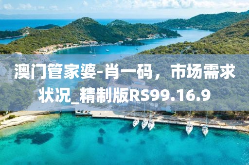澳门管家婆-肖一码，市场需求状况_精制版RS99.16.9