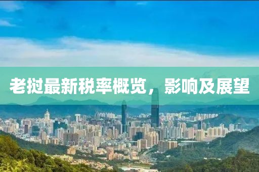老挝最新税率概览，影响及展望