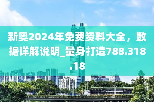 新奥2024年免费资料大全，数据详解说明_量身打造788.318.18