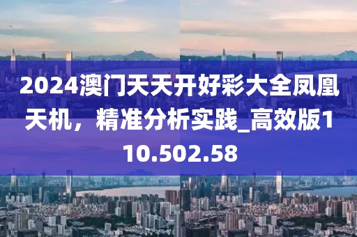 2024澳门天天开好彩大全凤凰天机，精准分析实践_高效版110.502.58