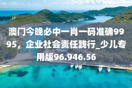 澳门今晚必中一肖一码准确9995，企业社会责任践行_少儿专用版96.946.56