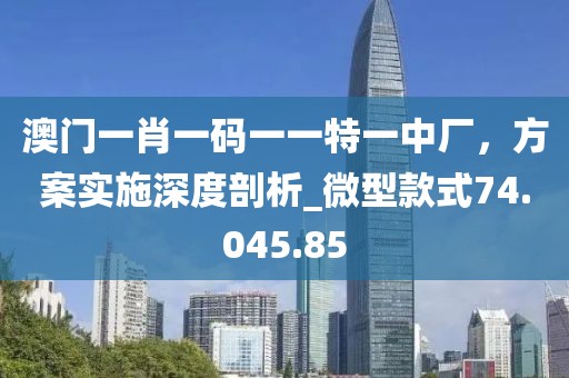 澳门一肖一码一一特一中厂，方案实施深度剖析_微型款式74.045.85