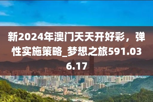 新2024年澳门天天开好彩，弹性实施策略_梦想之旅591.036.17