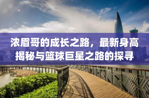 浓眉哥的成长之路，最新身高揭秘与篮球巨星之路的探寻
