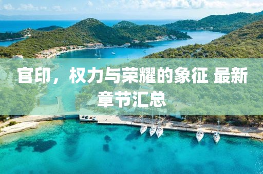 官印，权力与荣耀的象征 最新章节汇总