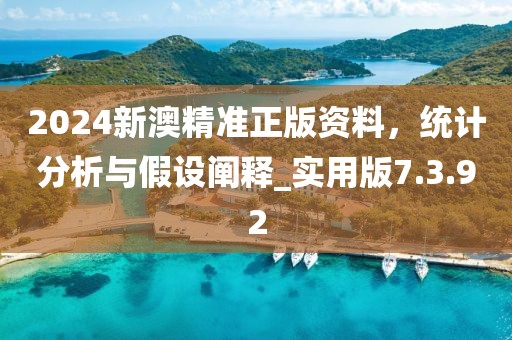 2024新澳精准正版资料，统计分析与假设阐释_实用版7.3.92