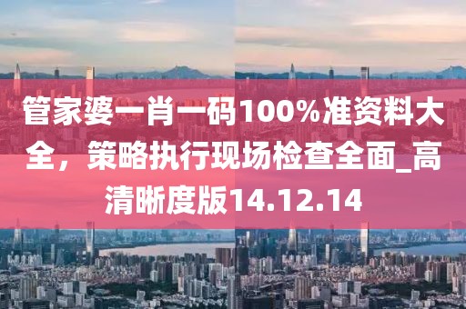 管家婆一肖一码100%准资料大全，策略执行现场检查全面_高清晰度版14.12.14