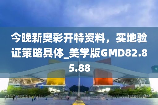 今晚新奥彩开特资料，实地验证策略具体_美学版GMD82.85.88