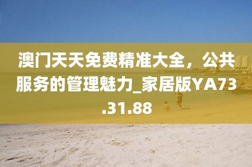 澳门天天免费精准大全，公共服务的管理魅力_家居版YA73.31.88
