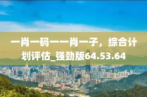 一肖一码一一肖一子，综合计划评估_强劲版64.53.64