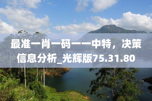 最准一肖一码一一中特，决策信息分析_光辉版75.31.80