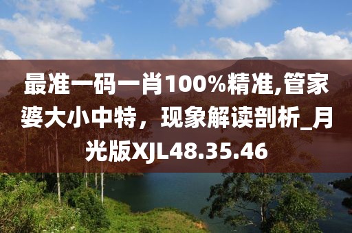 最准一码一肖100%精准,管家婆大小中特，现象解读剖析_月光版XJL48.35.46