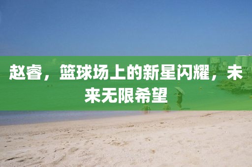 赵睿，篮球场上的新星闪耀，未来无限希望