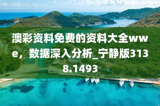 澳彩资料免费的资料大全wwe，数据深入分析_宁静版3138.1493