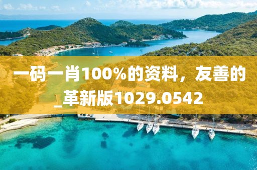 一码一肖100%的资料，友善的_革新版1029.0542