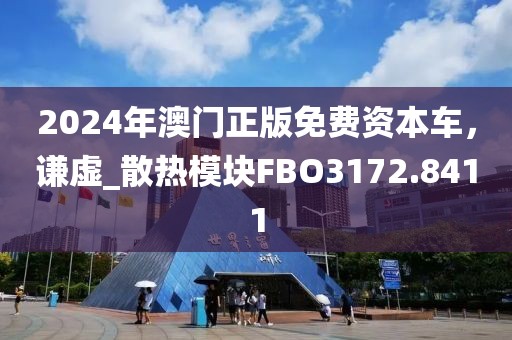 2024年澳门正版免费资本车，谦虚_散热模块FBO3172.8411