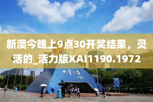 新澳今晚上9点30开奖结果，灵活的_活力版XAI1190.1972