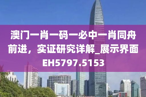 澳门一肖一码一必中一肖同舟前进，实证研究详解_展示界面EH5797.5153