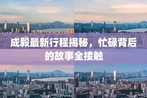 成毅最新行程揭秘，忙碌背后的故事全接触