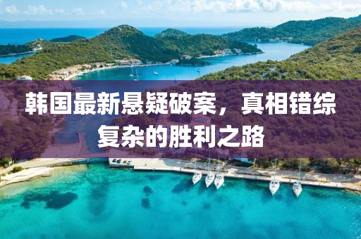 韩国最新悬疑破案，真相错综复杂的胜利之路