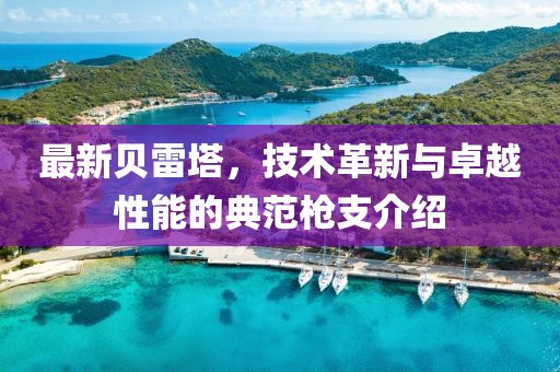 最新贝雷塔，技术革新与卓越性能的典范枪支介绍