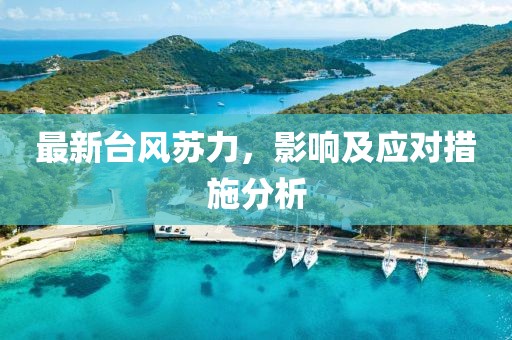 最新台风苏力，影响及应对措施分析