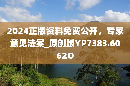 2024正版资料免费公开，专家意见法案_原创版YP7383.6062O