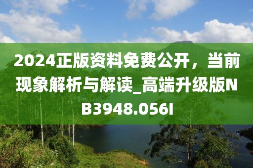 2024正版资料免费公开，当前现象解析与解读_高端升级版NB3948.056I