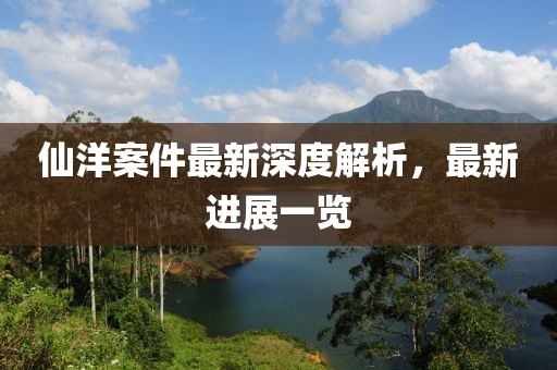 仙洋案件最新深度解析，最新进展一览