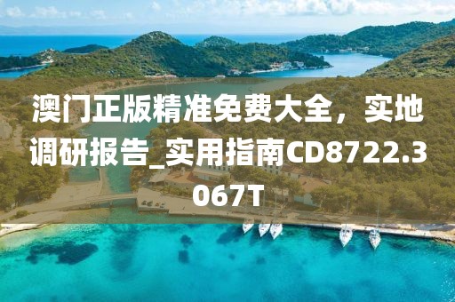 澳门正版精准免费大全，实地调研报告_实用指南CD8722.3067T