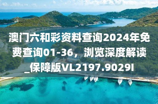 澳门六和彩资料查询2024年免费查询01-36，浏览深度解读_保障版VL2197.9029I