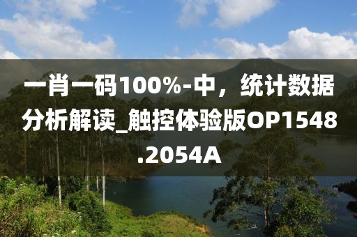 一肖一码100%-中，统计数据分析解读_触控体验版OP1548.2054A