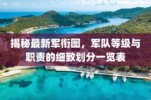 揭秘最新军衔图，军队等级与职责的细致划分一览表