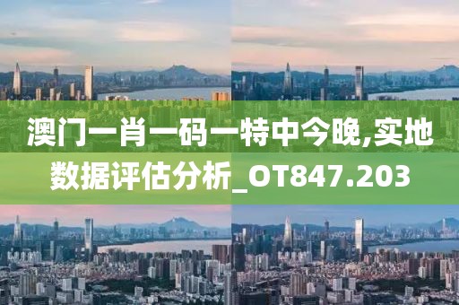 澳门一肖一码一特中今晚,实地数据评估分析_OT847.203