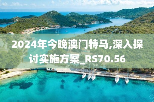 2024年今晚澳门特马,深入探讨实施方案_RS70.56