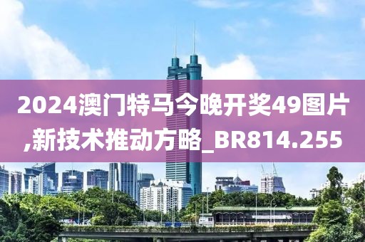 2024澳门特马今晚开奖49图片,新技术推动方略_BR814.255