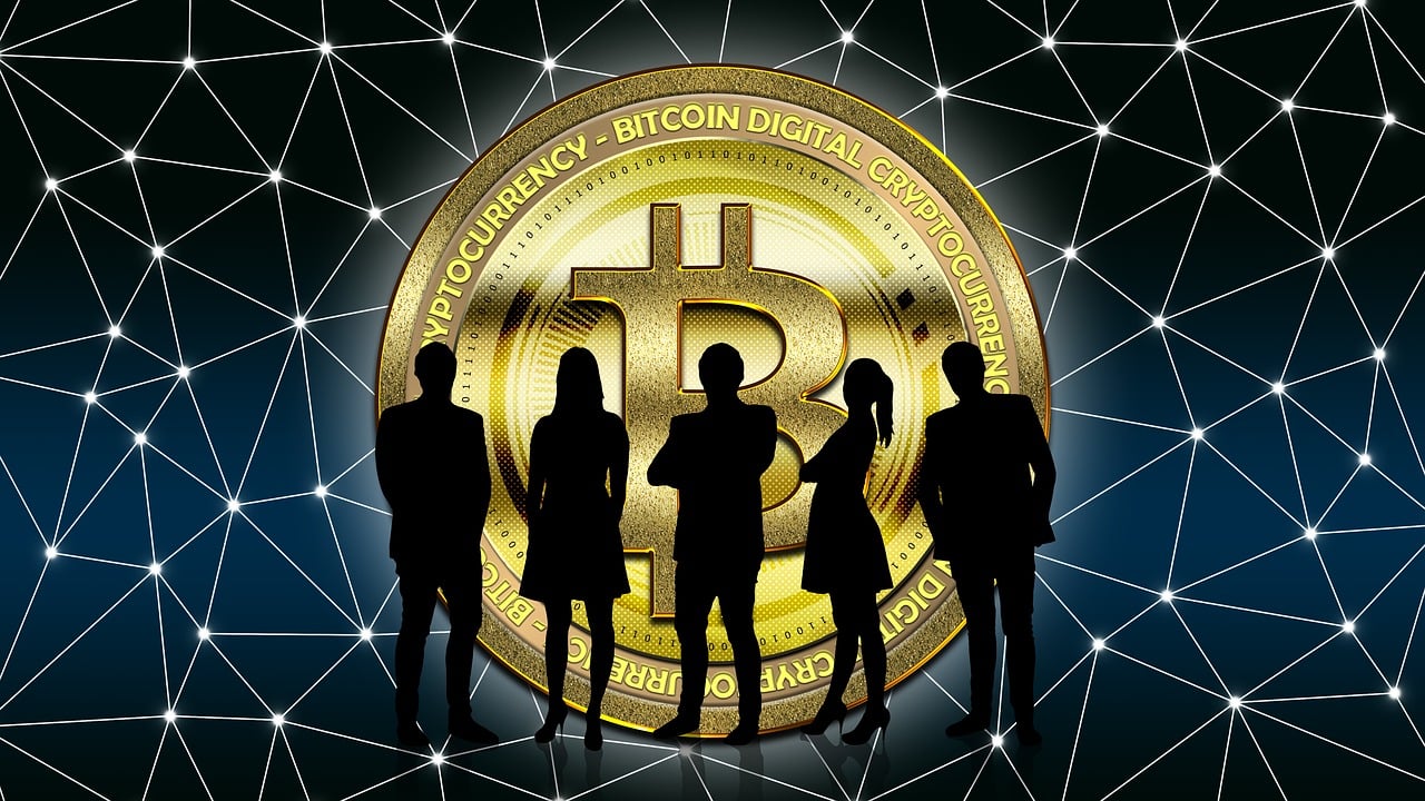 探索数字时代阅读新领域的冷书网最新动态