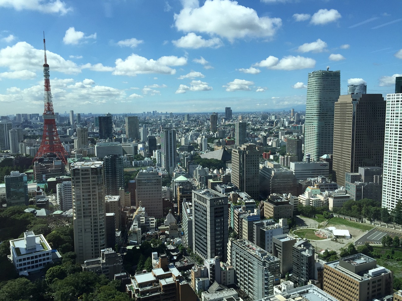 最新国际战势深度分析