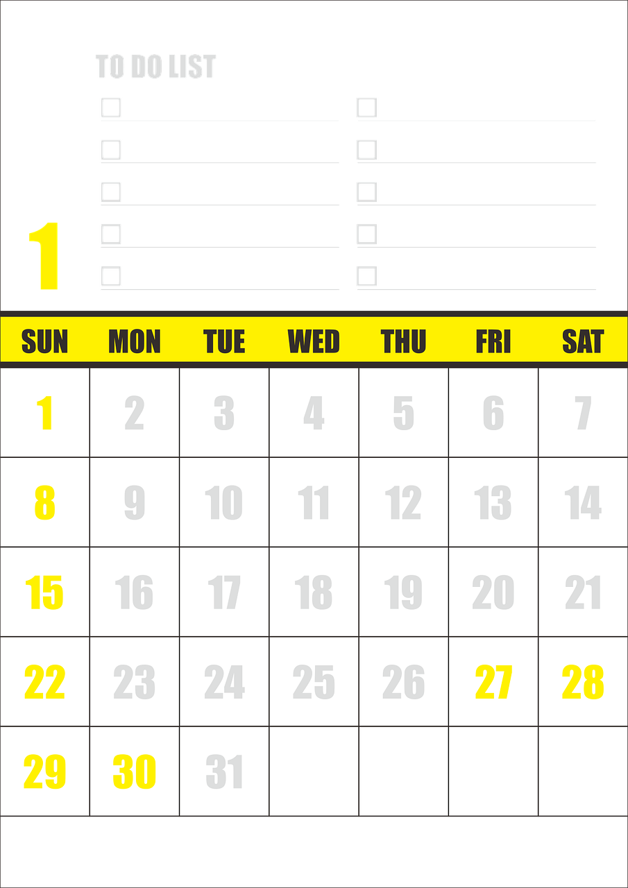 XXXX年5月XX日晴天的跳绳比赛日记